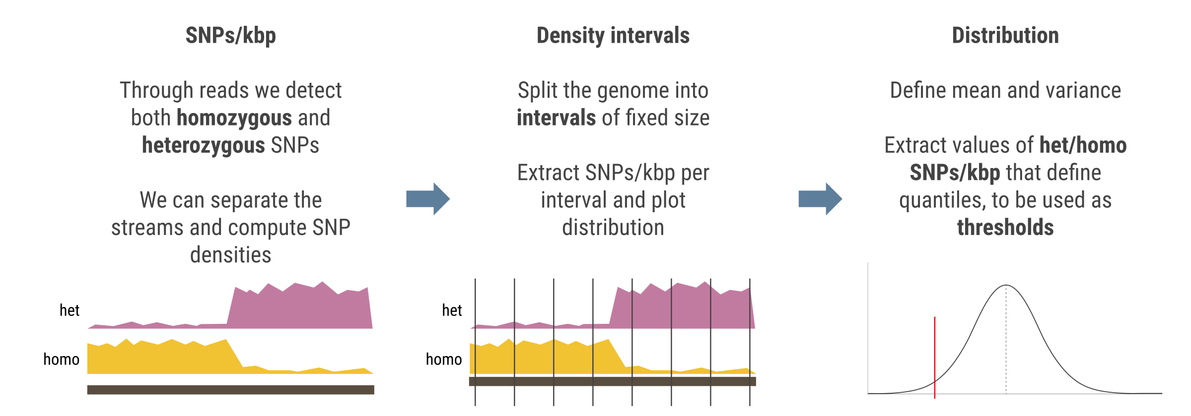 ../_images/snp_density.png