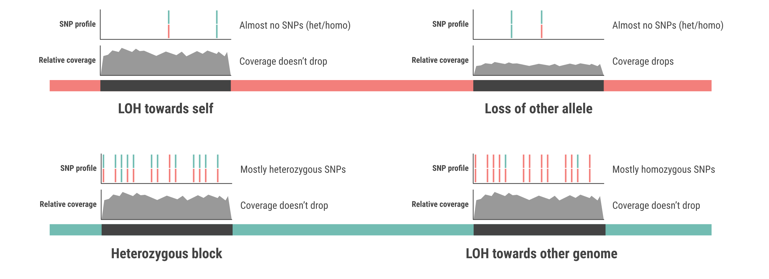 ../_images/block_types.png